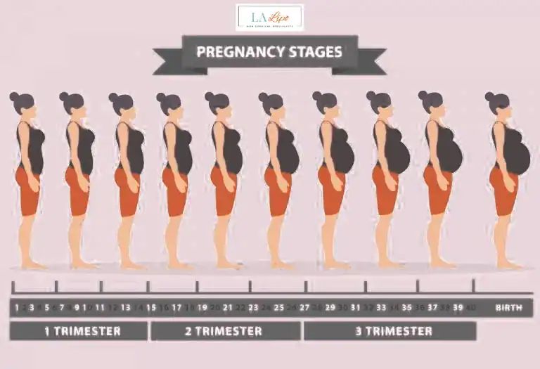 First Trimester (Weeks 1–12): Early Changes You Might Not Notice Ruislip Common
